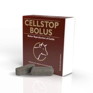 Cellstop Bolus – Preparat na wysoką liczbę komórek somatycznych dla krów 10szt. OVER Agro