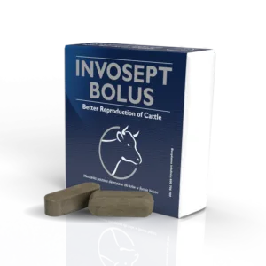 Invosept – Bolus ułatwiający poród i poprawiający witalność cieląt overagro 10szt.