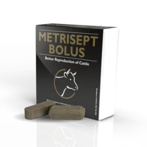 Metrisept Bolus – Wspomaganie inwolucji macicy i regeneracji błony śluzowej u krów 10szt OVER Agro