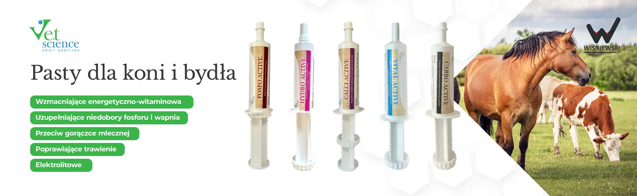 SLIDER_WWW_VETSCIENCE-kopia