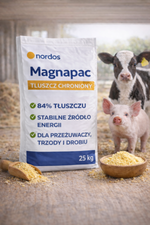 Magnapac – tłuszcz chroniony (wapniowe sole kwasów tłuszczowych) – 1000 kg