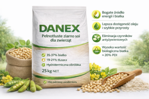 DANEX – pełnotłuste ziarno soi, wysokoenergetyczny surowiec paszowy | 1000 kg
