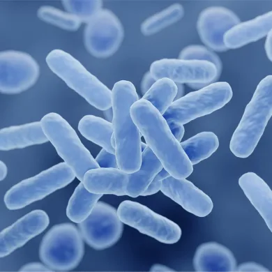 probiotyki-dla-zwierzat